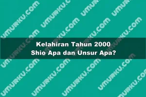 Kelahiran 2000 Shio Apa dan Unsur Apa?