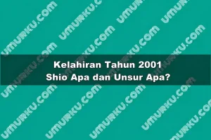 Kelahiran 2001 Shio Apa dan Unsur Apa?