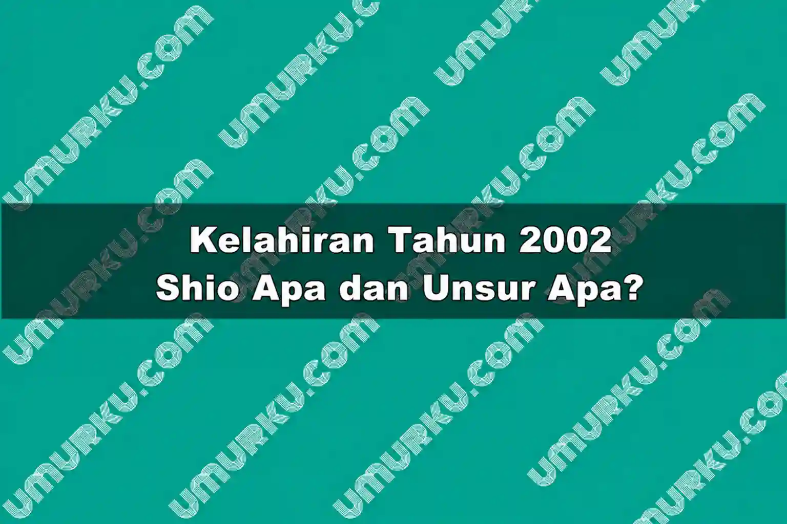 Kelahiran 2002 Shio Apa dan Unsur Apa