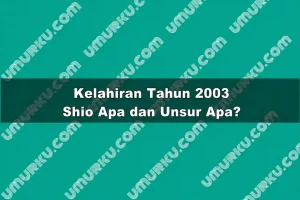 Kelahiran 2003 Shio Apa dan Unsur Apa?