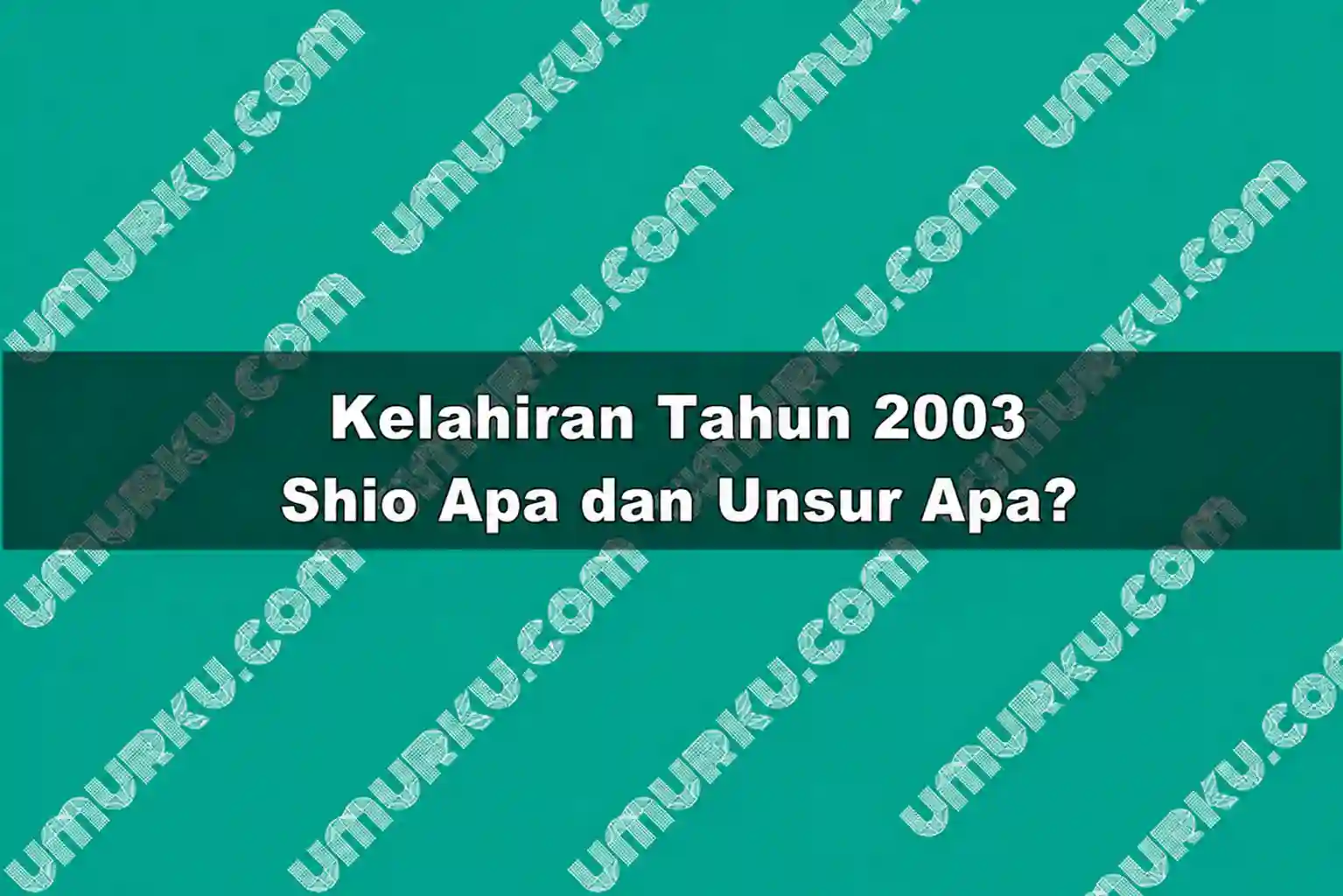 Kelahiran 2003 Shio Apa dan Unsur Apa
