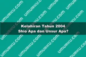 Kelahiran 2004 Shio Apa dan Unsur Apa?