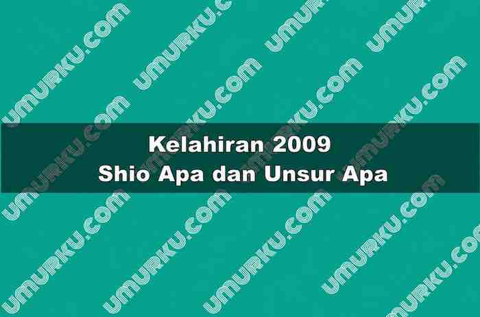 Kelahiran 2009 Shio Apa dan Unsur Apa