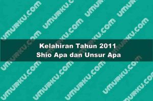 Kelahiran 2011 Shio Apa dan Unsur Apa?