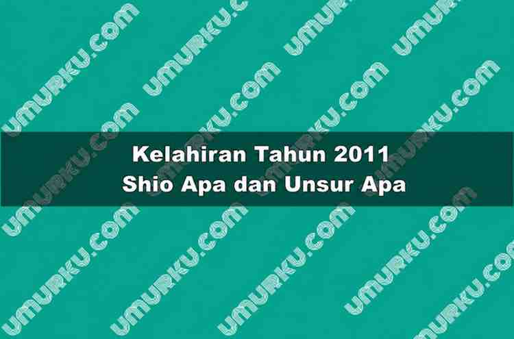 Kelahiran 2011 Shio Apa dan Unsur Apa
