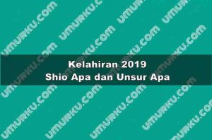 Kelahiran 2019 Shio Apa dan Unsur Apa?