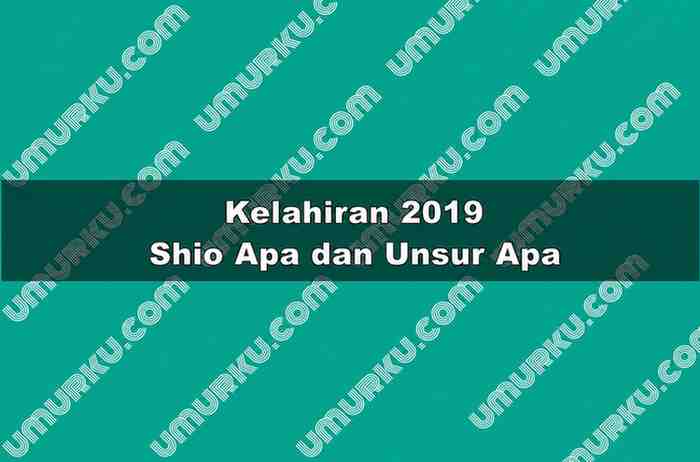 Kelahiran 2019 Shio Apa dan Unsur Apa