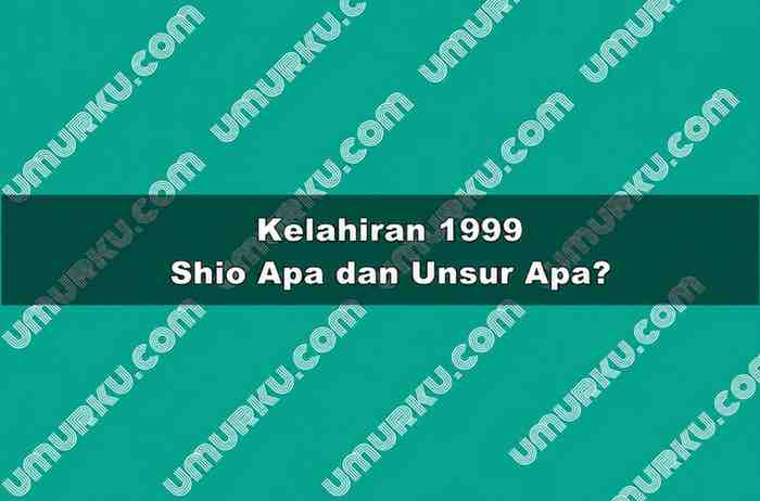 Kelahiran 1999 Shio Apa dan Unsur Apa