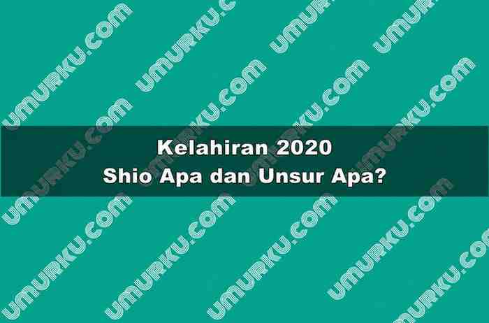 Kelahiran 2020 Shio Apa dan Unsur Apa