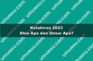 Kelahiran 2023 Shio Apa dan Unsur Apa?