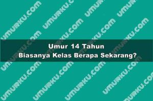 Umur 14 Tahun Kelas Berapa Sekarang?