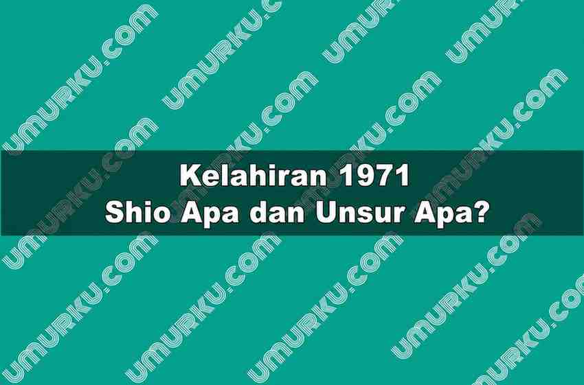 Kelahiran 1971 Shio Apa dan Unsur Apa