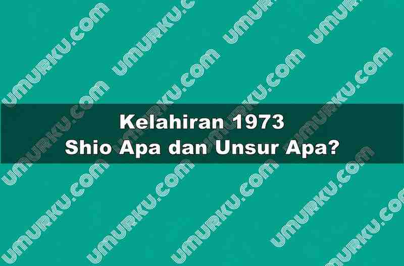 Kelahiran 1973 Shio Apa dan Unsur Apa