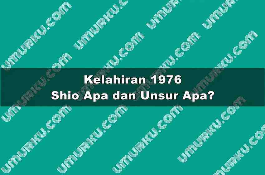 Kelahiran 1976 Shio Apa dan Unsur Apa