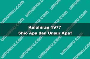Kelahiran 1977 Shio Apa dan Unsur Apa?