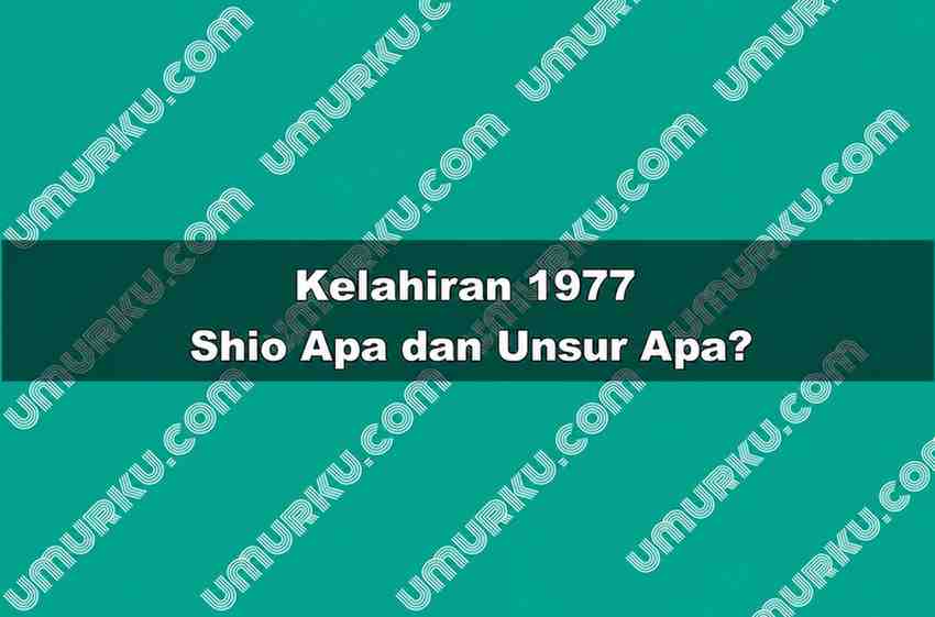 Kelahiran 1977 Shio Apa dan Unsur Apa
