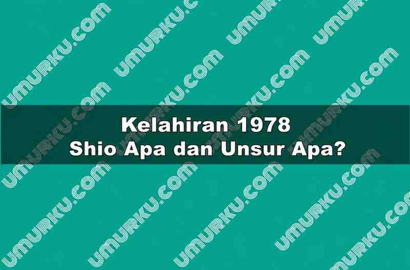 Kelahiran 1978 Shio Apa dan Unsur Apa
