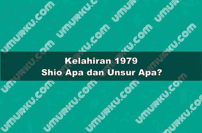 Kelahiran 1979 Shio Apa dan Unsur Apa