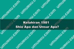 Kelahiran 1981 Shio Apa dan Unsur Apa?