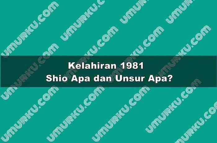 Kelahiran 1981 Shio Apa dan Unsur Apa