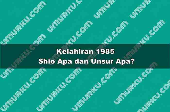 Kelahiran 1985 Shio Apa dan Unsur Apa