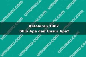 Kelahiran 1987 Shio Apa dan Unsur Apa?