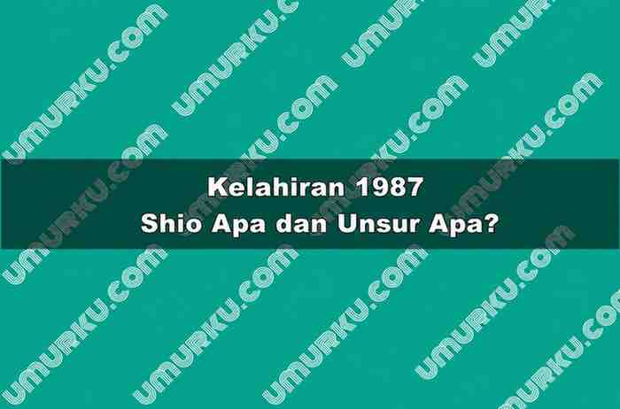 Kelahiran 1987 Shio Apa dan Unsur Apa