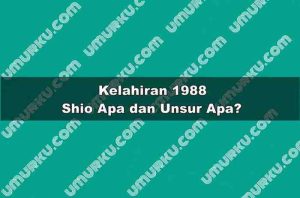 Kelahiran 1988 Shio Apa dan Unsur Apa?