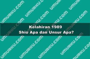 Kelahiran 1989 Shio Apa dan Unsur Apa?
