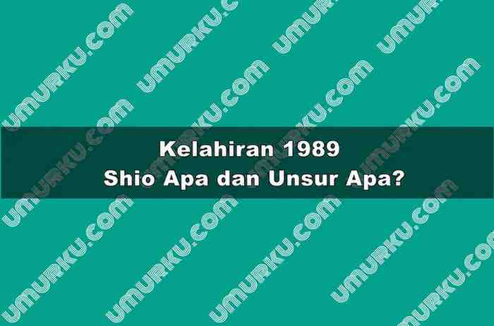 Kelahiran 1989 Shio Apa dan Unsur Apa