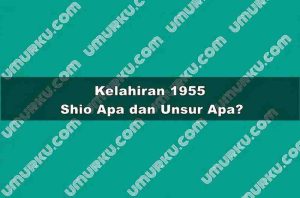 Kelahiran 1955 Shio Apa dan Unsur Apa?