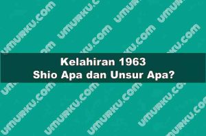 Kelahiran 1963 Shio Apa dan Unsur Apa?