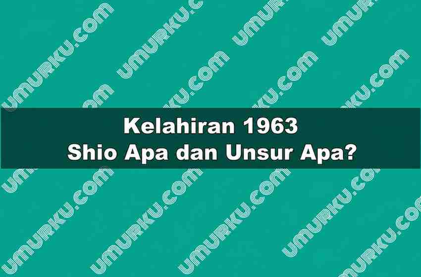 Kelahiran 1963 Shio Apa dan Unsur Apa?