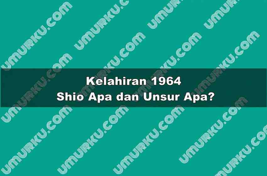 Kelahiran 1964 Shio Apa dan Unsur Apa?