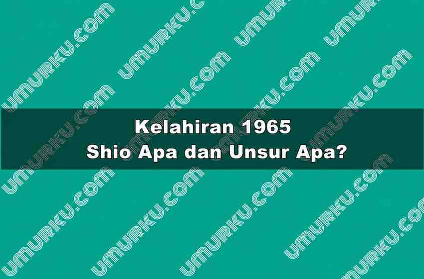 Kelahiran 1965 Shio Apa dan Unsur Apa?